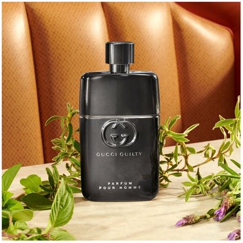 gucci guilty pour homme eau de parfum fragrantica